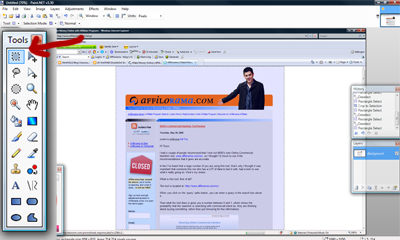 Paint.net image 3 - cropping