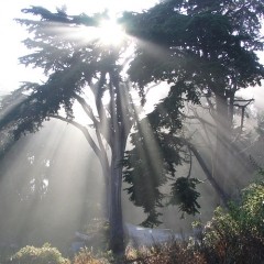 The sun starts shining and we are back at work!
