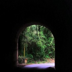 Have you developed a case of “nofollow” tunnel vision?