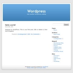 12 Best Wordpress Plugins